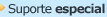 suporte especial wordpress